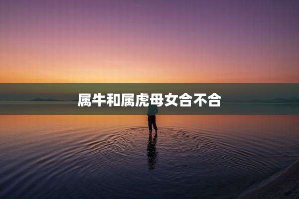 属牛和属虎母女合不合