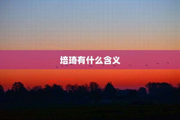 培琦有什么含义