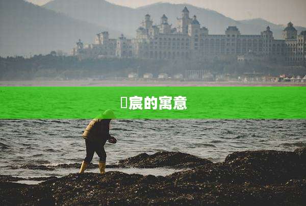 璟宸的寓意
