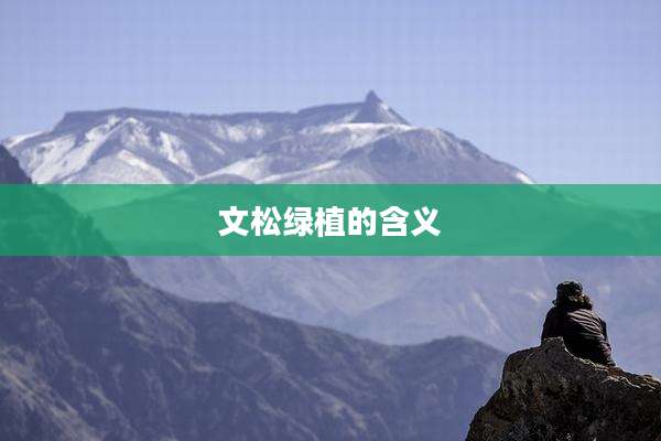 文松绿植的含义