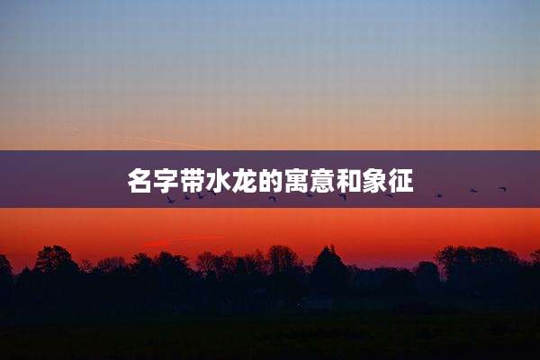 名字带水龙的寓意和象征