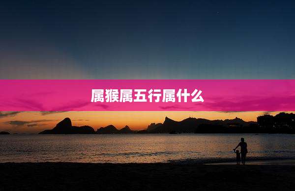 属猴属五行属什么