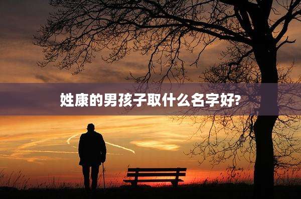 姓康的男孩子取什么名字好?