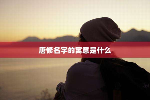 唐修名字的寓意是什么