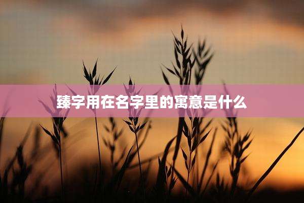 臻字用在名字里的寓意是什么