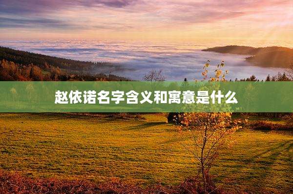 赵依诺名字含义和寓意是什么