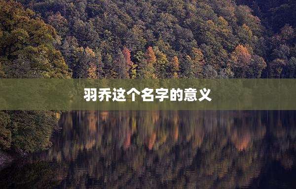 羽乔这个名字的意义