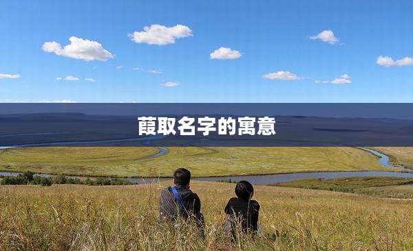 葭取名字的寓意