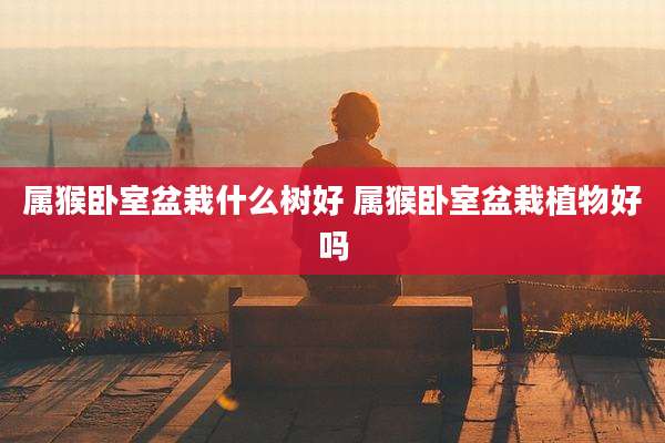 属猴卧室盆栽什么树好 属猴卧室盆栽植物好吗