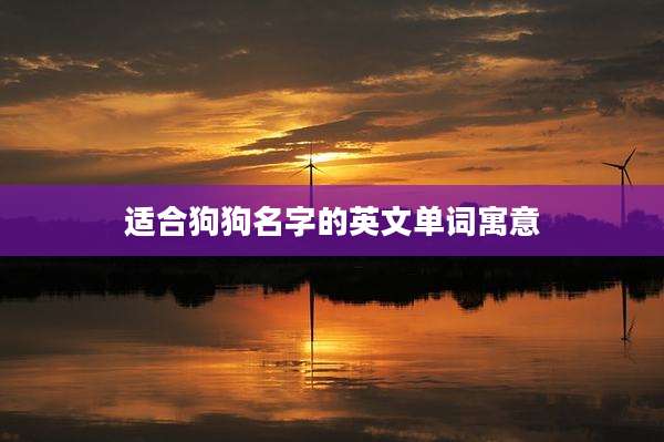 适合狗狗名字的英文单词寓意