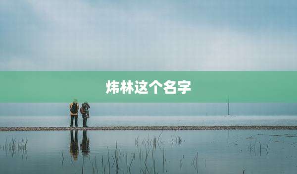 炜林这个名字