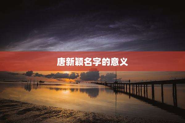 唐新颖名字的意义