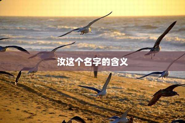 汝这个名字的含义