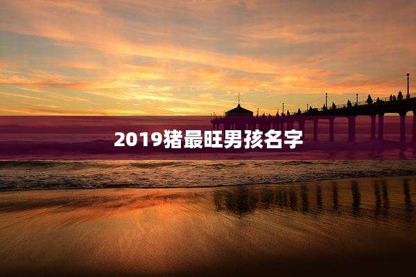2019猪最旺男孩名字
