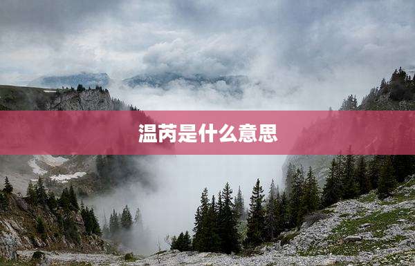 温芮是什么意思