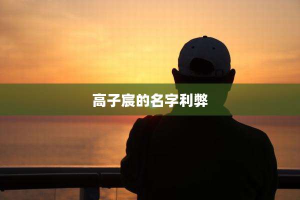 高子宸的名字利弊