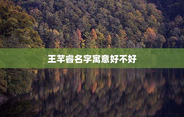 王芊睿名字寓意好不好