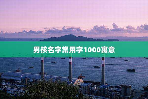 男孩名字常用字1000寓意