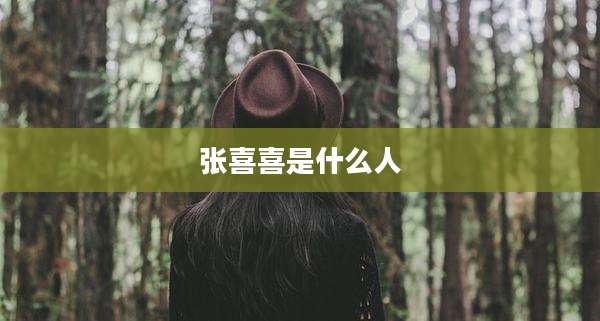 张喜喜是什么人