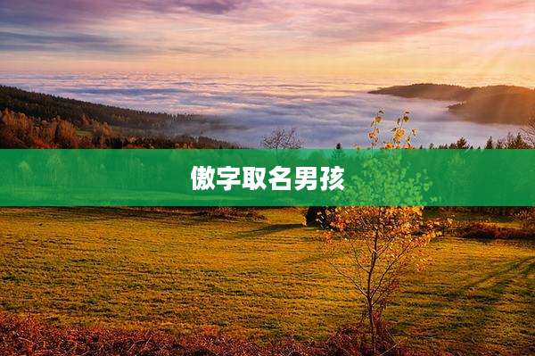 傲字取名男孩