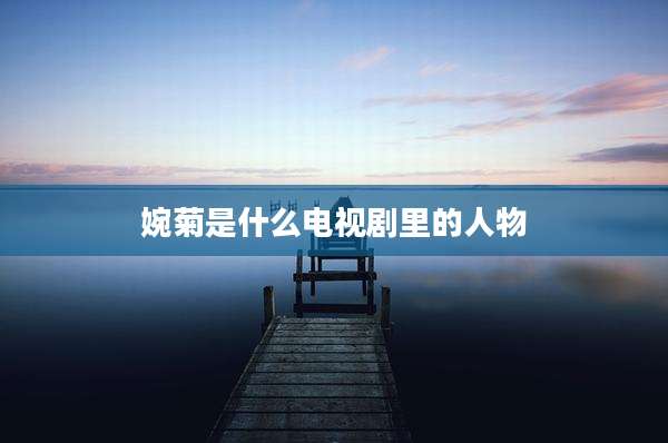 婉菊是什么电视剧里的人物