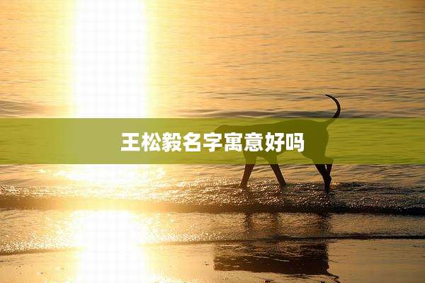 王松毅名字寓意好吗