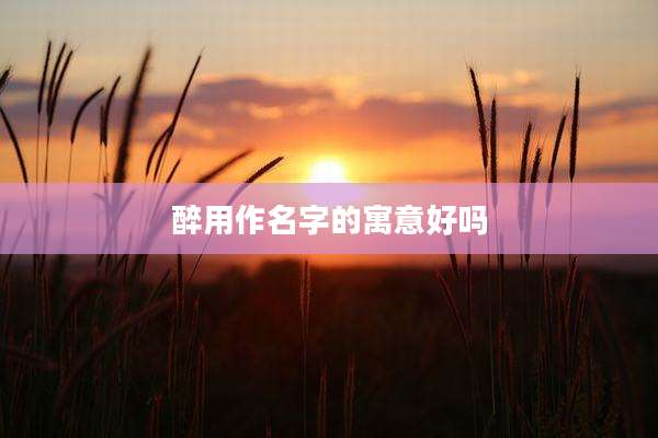 醉用作名字的寓意好吗