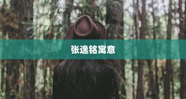 张逸铭寓意