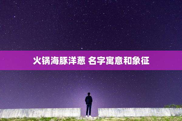 火锅海豚洋葱 名字寓意和象征