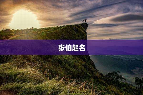 张伯起名