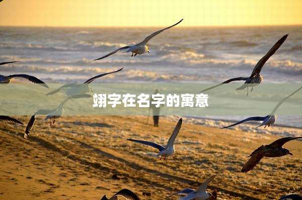 翊字在名字的寓意