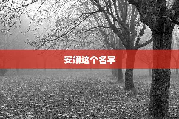 安翊这个名字