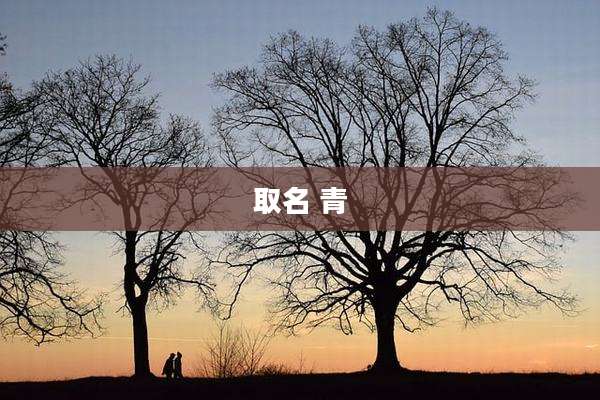 取名 青