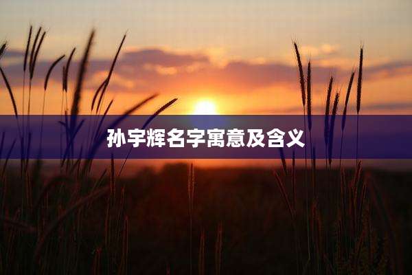 孙宇辉名字寓意及含义