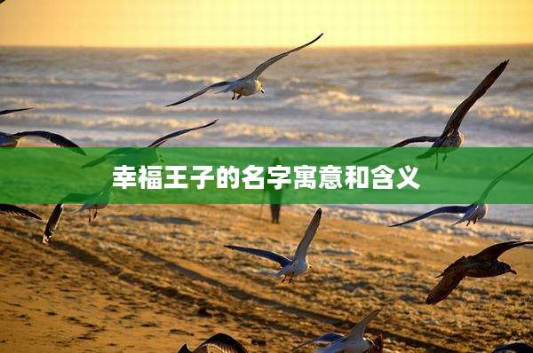 幸福王子的名字寓意和含义