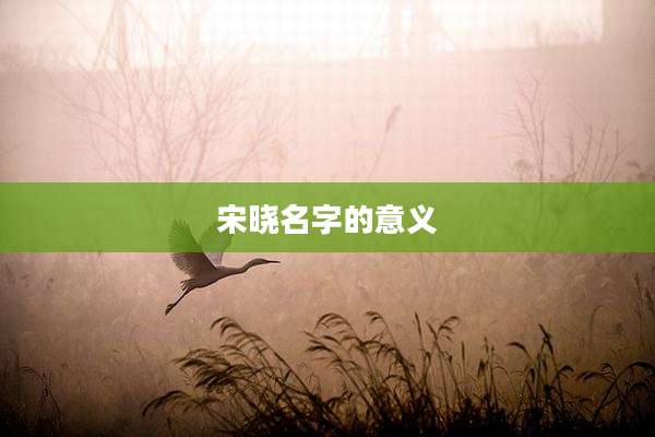 宋晓名字的意义