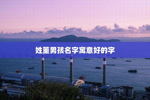 姓董男孩名字寓意好的字