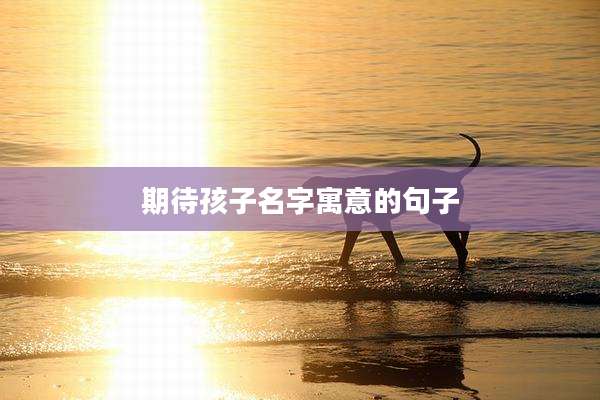 期待孩子名字寓意的句子