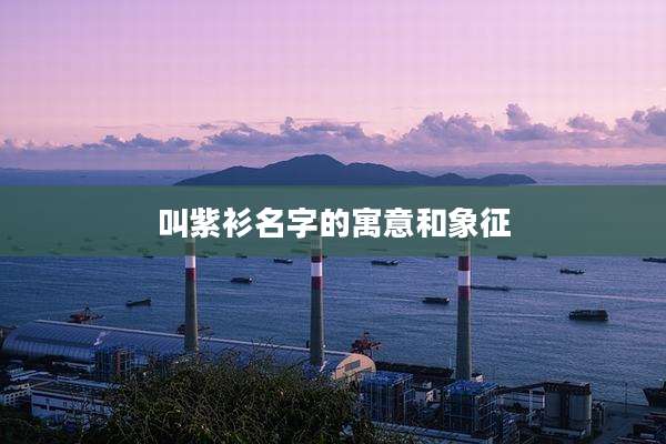 叫紫衫名字的寓意和象征