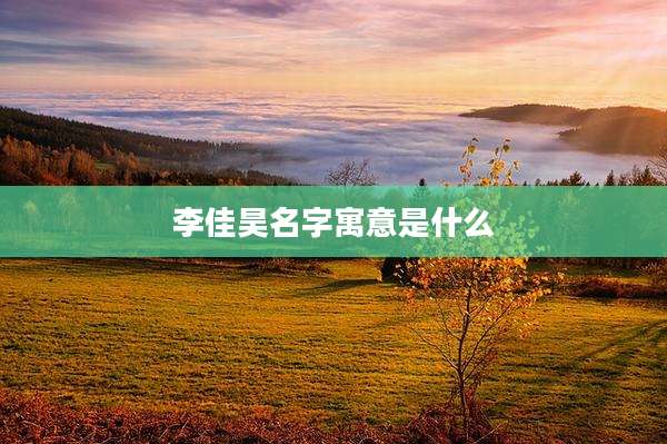 李佳昊名字寓意是什么