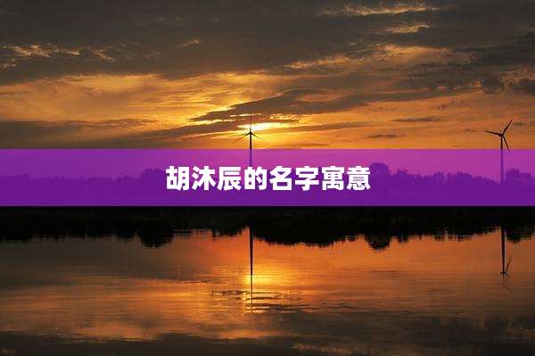 胡沐辰的名字寓意