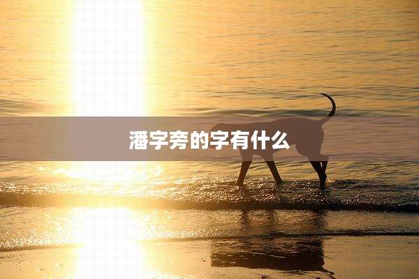 潘字旁的字有什么