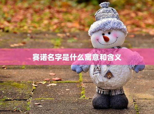 赛诺名字是什么寓意和含义
