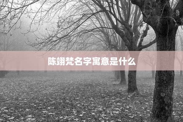 陈翊梵名字寓意是什么