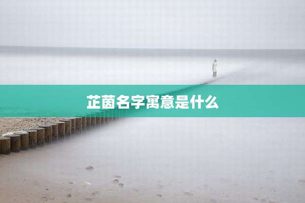 芷茵名字寓意是什么