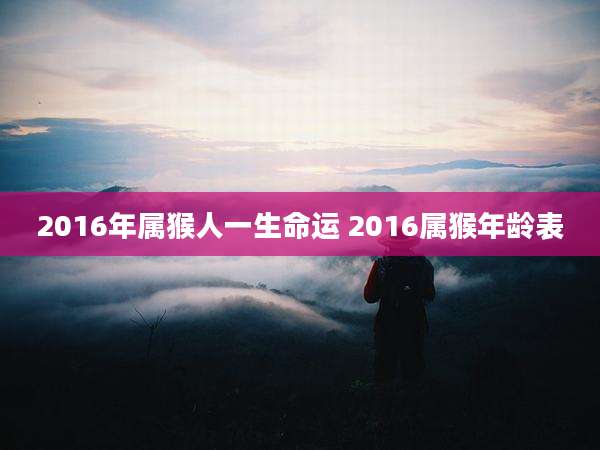 2016年属猴人一生命运 2016属猴年龄表