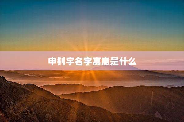 申钊宇名字寓意是什么