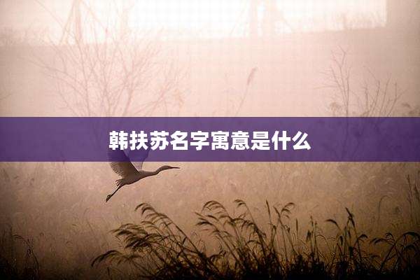 韩扶苏名字寓意是什么
