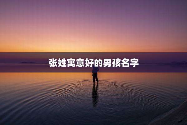 张姓寓意好的男孩名字
