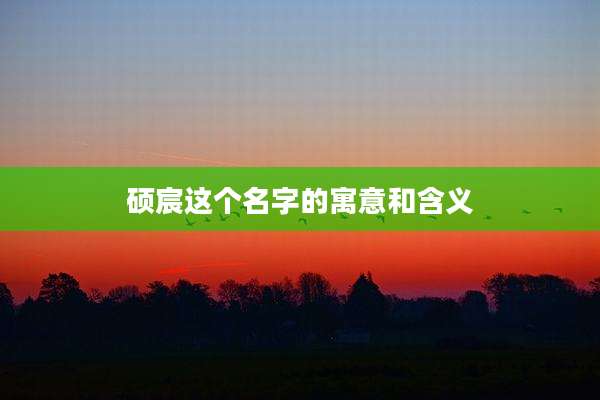 硕宸这个名字的寓意和含义